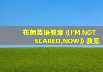 布朗英语教案《I'M NOT SCARED,NOW》教案